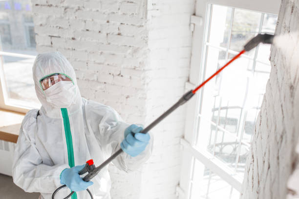 Best Dehumidification Services  in Wells Branch, TX