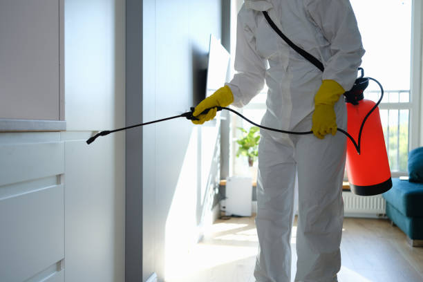 Best Post-Construction Mold Inspection  in Wells Branch, TX