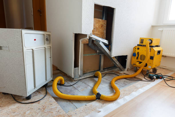Best Mold Remediation for Healthcare Facilities  in Wells Branch, TX